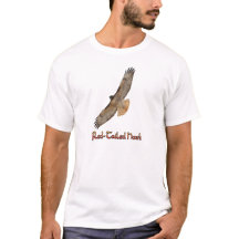 Camiseta do Falcão-de-cauda-vermelha