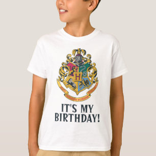 Camiseta do Harry Potter   Hogwarts - É Meu Aniver