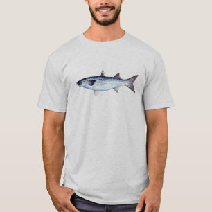 Camiseta do salmonete