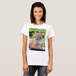 Camiseta Doce gatinho