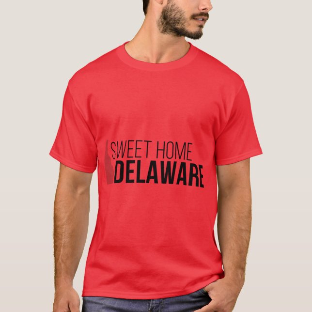 Camiseta Doce Lar Delaware Oversized (Frente)