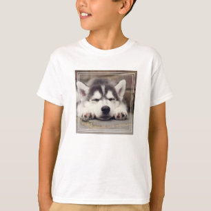 Camiseta Doce Mamão Siberiano Dormindo