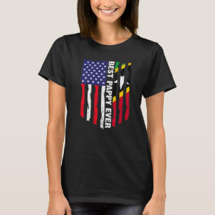 Camiseta Documento Mais Adequado E Da Sinalizador E Santo D