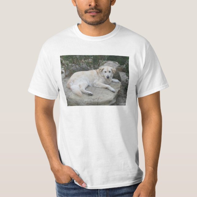Camiseta Dog Resting On A Rock (Frente)