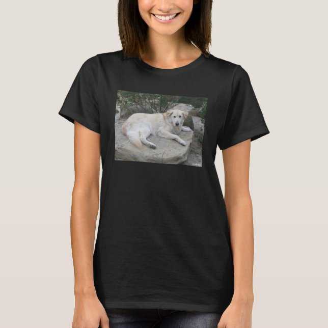 Camiseta Dog Resting On A Rock (Frente)