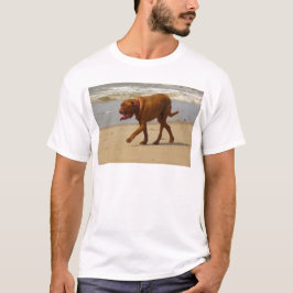 Camiseta dogue de bordeaux