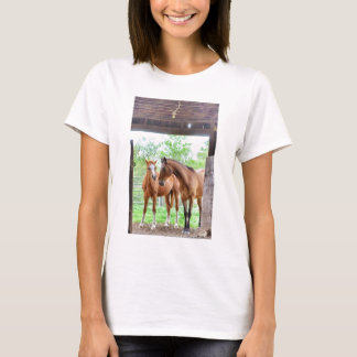 Camiseta Dois amigos do cavalo
