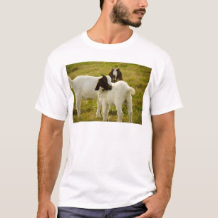 Camiseta Dois Caprinos