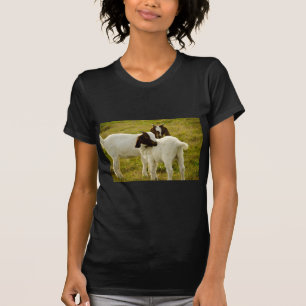Camiseta Dois Caprinos Fofos