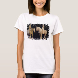 Camiseta Dois cavaleiros, chineses, dinastia de Tang