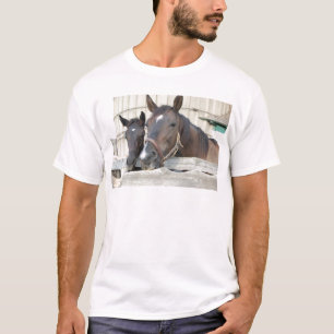 Camiseta Dois cavalos Chewin uma cerca