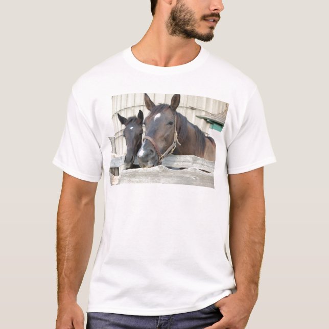 Camiseta Dois Cavalos Mastigando uma cerca (Frente)