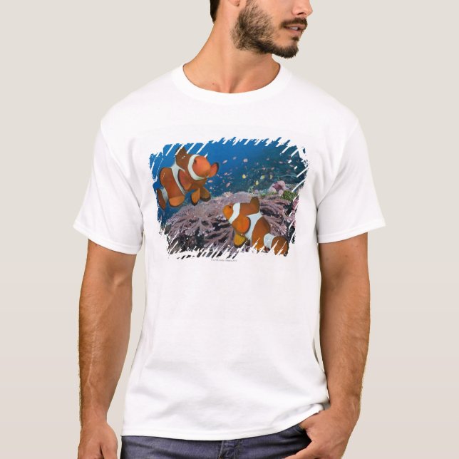 Camiseta Dois Clownfish (Frente)