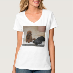 Camiseta Dois Cockerpoos Cuxos