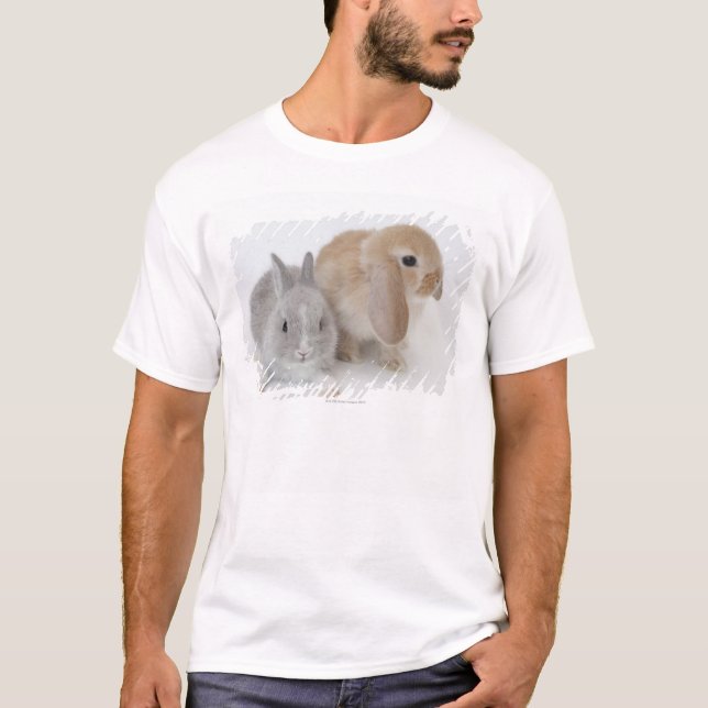 Camiseta Dois coelhos. Anão de Netherland e Holland Lop. (Frente)
