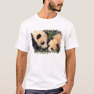 Camiseta Dois filhotes de panda no arbusto de bambu, Wolong