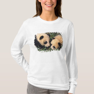 Camiseta Dois filhotes de panda no arbusto de bambu, Wolong