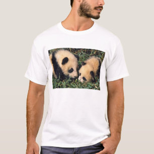 Camiseta Dois filhotes panda no arbusto de bambu, Wolong.