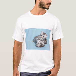 Camiseta Dois gatinhos pretos prateados brincando juntos.JP