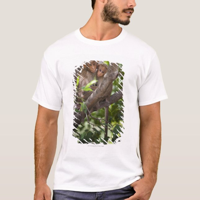 Camiseta Dois macacos em uma árvore (Frente)