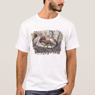 Camiseta Dois machos disputando uma fêmea de pato-mandarim