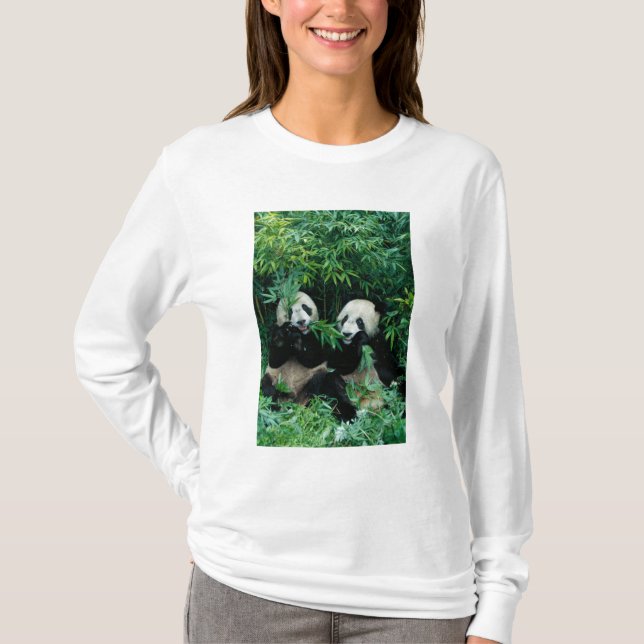 Camiseta Dois pandas comendo bambu juntos, Wolong (Frente)