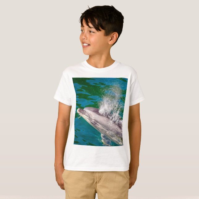 Camiseta Dolphin In Milford Sound, Nova Zelândia (Frente Completa)