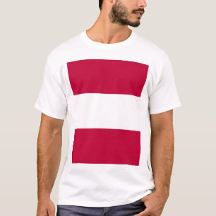Camiseta Domínio de Tosa, Japão