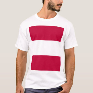 Camiseta Domínio de Tosa, Japão