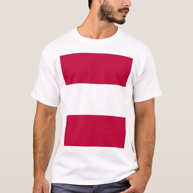 Camiseta Domínio de Tosa, Japão (Frente)