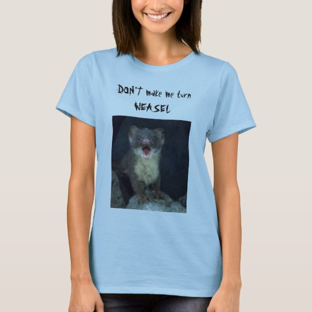 Camiseta DON " T faz-me a DONINHAS da volta (Frente)