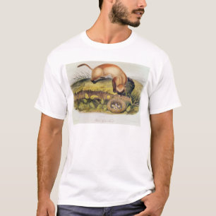 Camiseta doninha Preto-footed