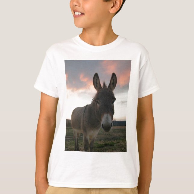 Camiseta Donkey Art (Frente)