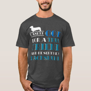 Camiseta Dono de Cachorro Cristão Dachshund Dift Pet Dachsh