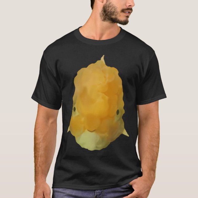 Camiseta Dourado (Frente)