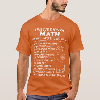 Camiseta doze dias de matemática os grandes da matemática m