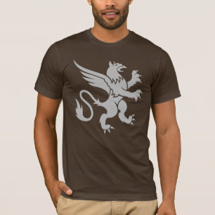 CAMISETA DRAGÃO