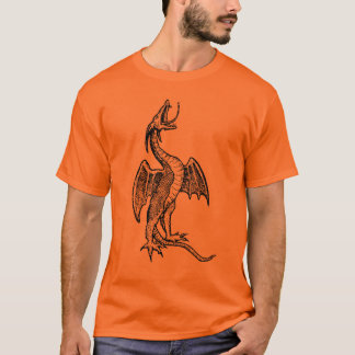 Camiseta Dragão