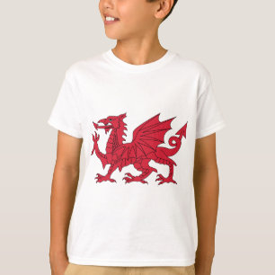 Camiseta Dragão de Galês