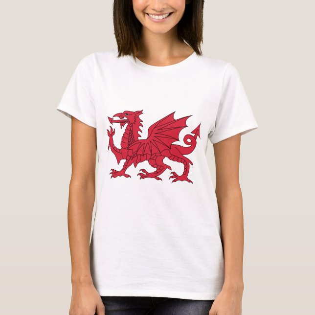 Camiseta Dragão de Galês (Frente)