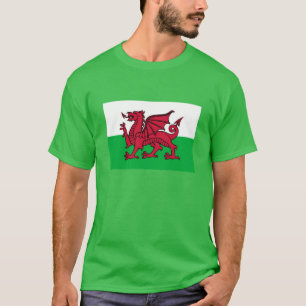 Camiseta Dragão de Galês
