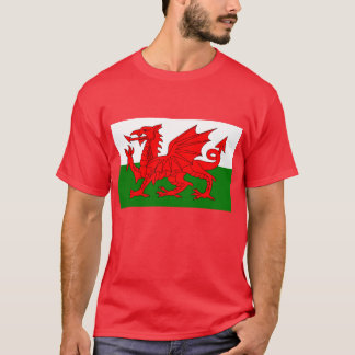 Camiseta Dragão de Galês