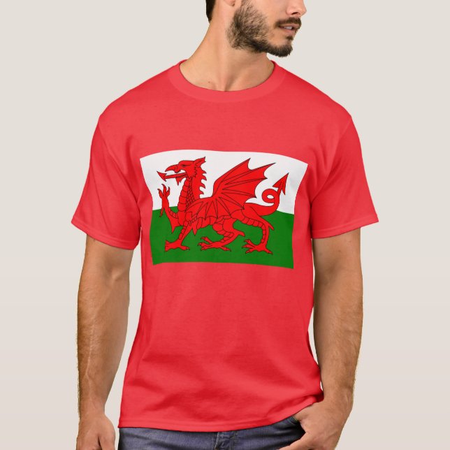 Camiseta Dragão de Galês (Frente)