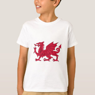 Camiseta Dragão de Galês