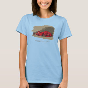 Camiseta Dragão do sono