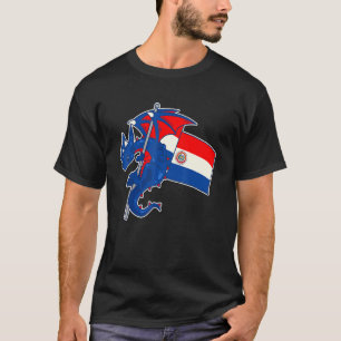 Camiseta Dragão Épico Com Bandeira do Paraguai  Paraguaio