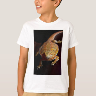 Camiseta Dragão farpado