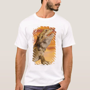 Camiseta Dragão farpado (Pogona Vitticeps) na rocha,
