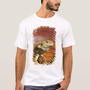 Camiseta Dragão farpado (Pogona Vitticeps) no ramo,