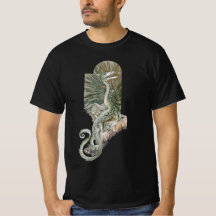 Dragão Lagarto Mitológico em Rochas, Mitologia Vin